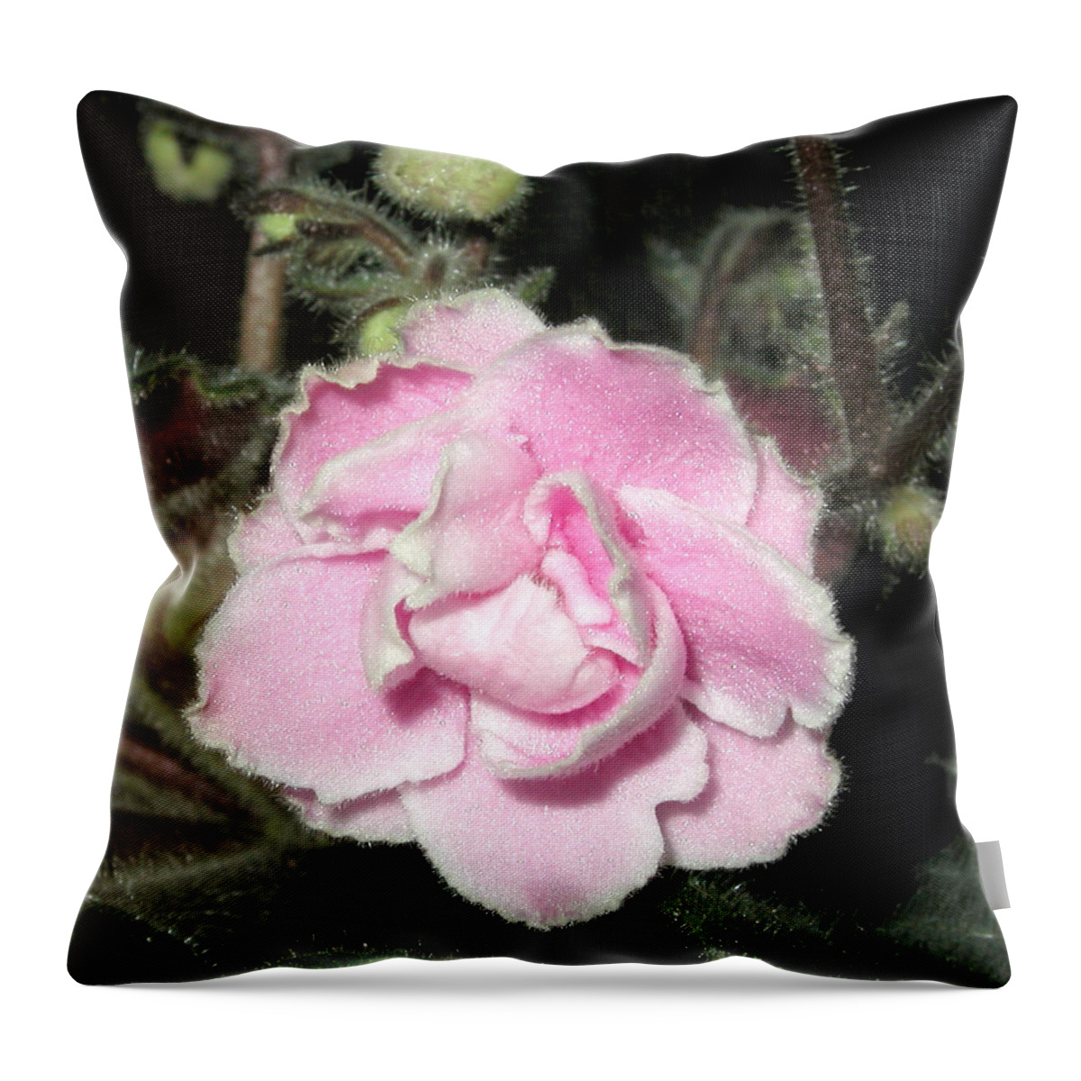 Flower Throw Pillow featuring the pyrography African Violet by Robert Morin