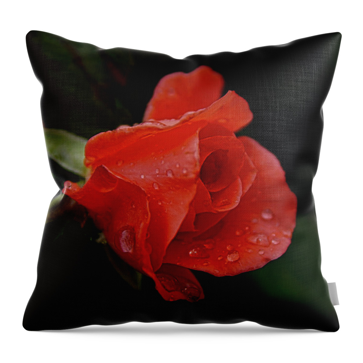Rose Throw Pillow featuring the photograph After a Summer Rain 2 by Ernest Echols
