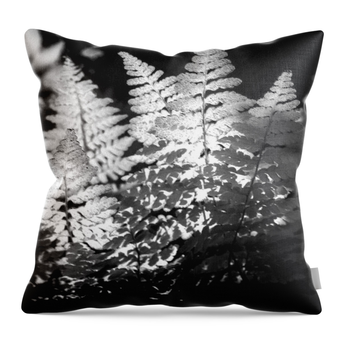 Fern Throw Pillow featuring the photograph After Glow by Randy Oberg