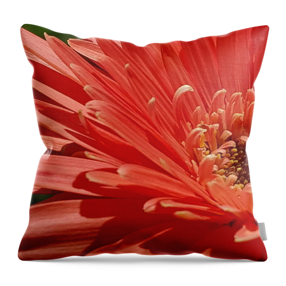 Flower Throw Pillow featuring the photograph After Showers by Dani McEvoy