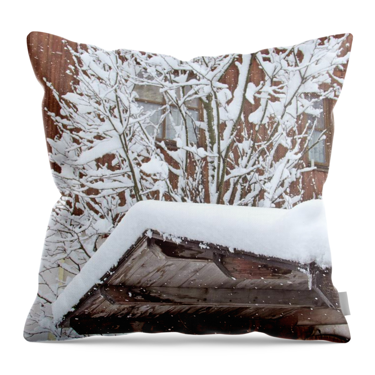 Flower Throw Pillow featuring the photograph After Snowing by Cesar Vieira