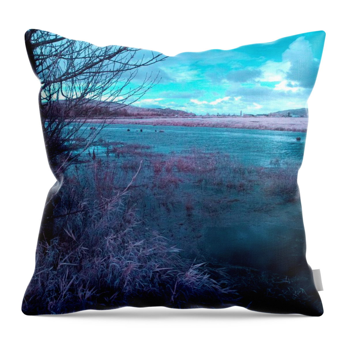 Surreal Throw Pillow featuring the photograph After Storm Surrealism by Chriss Pagani
