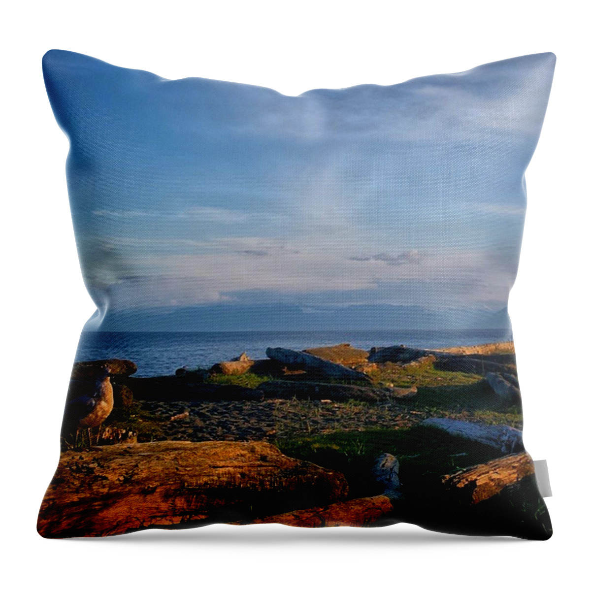 Lovetheview Throw Pillow featuring the photograph After Supper Relaxing At The Lagoon! by Victoria Clark
