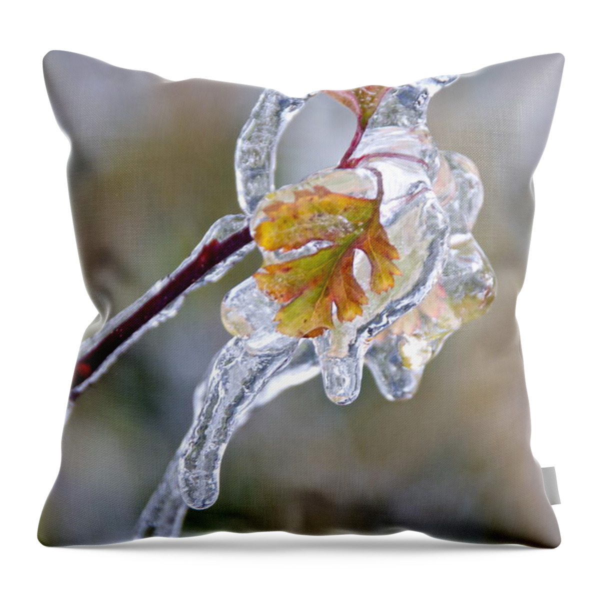 Photography Throw Pillow featuring the photograph After the Ice Storm by Sean Griffin