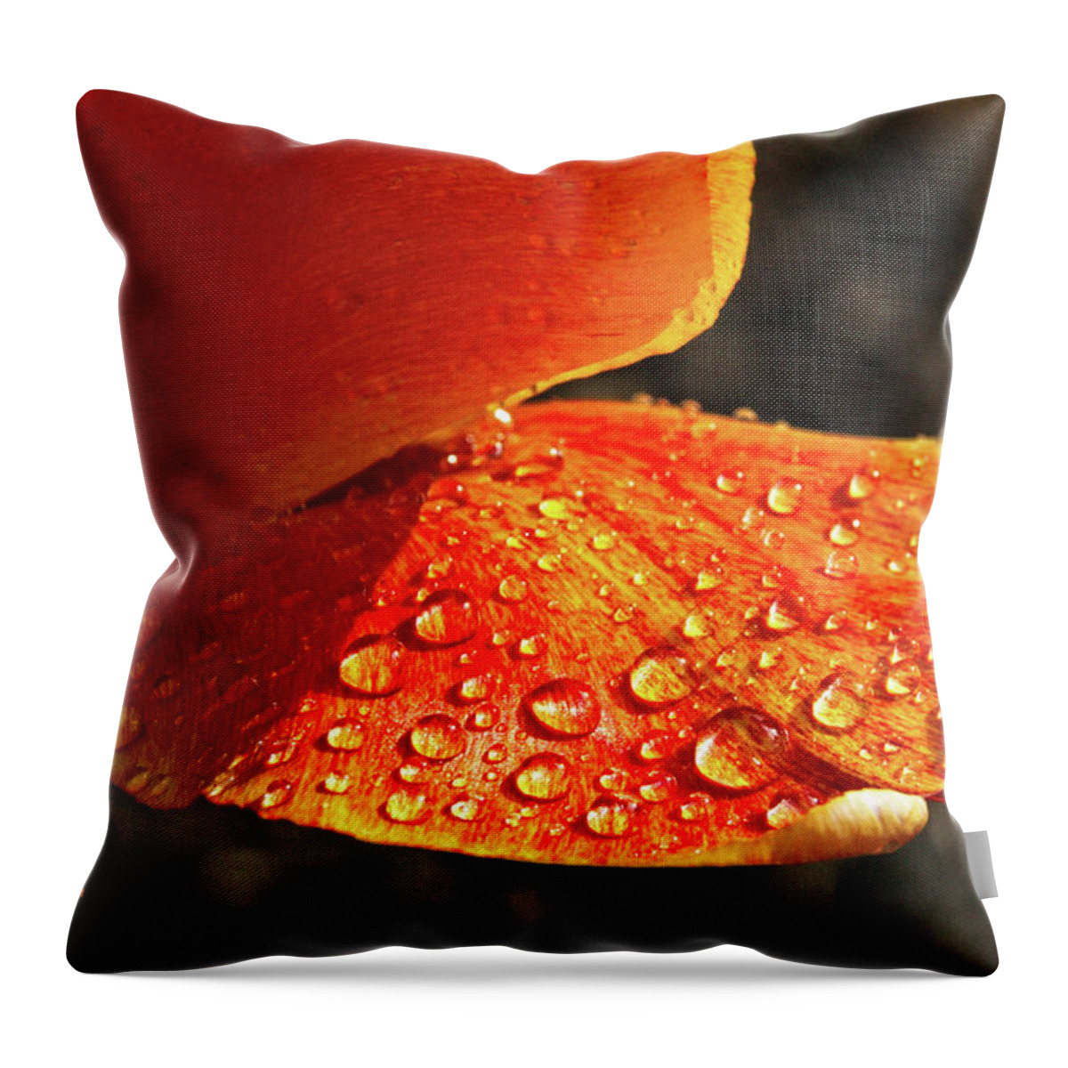 Rain Throw Pillow featuring the photograph After The Rain by Mick Anderson