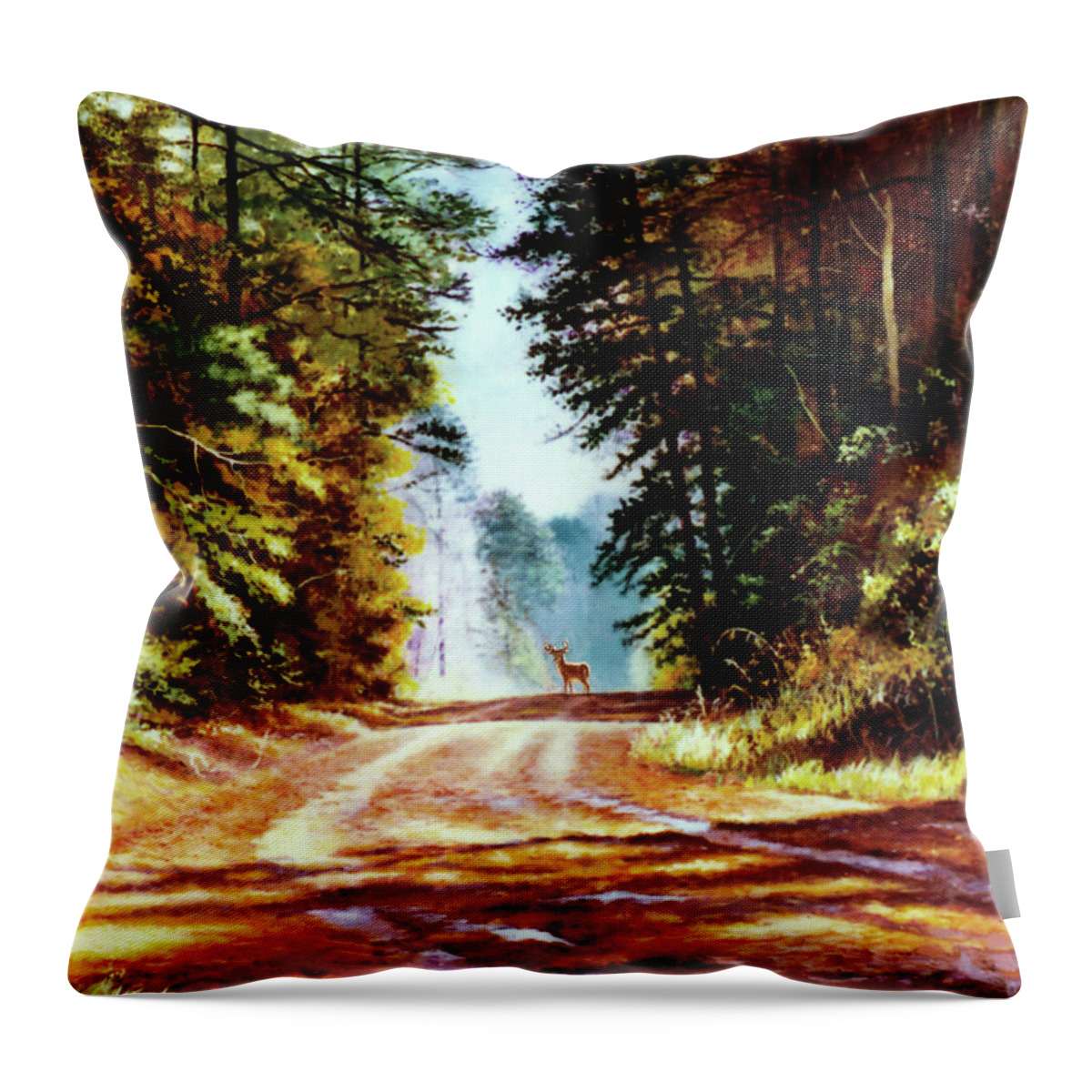 Rain Throw Pillow featuring the painting After the Rain by Randy Welborn