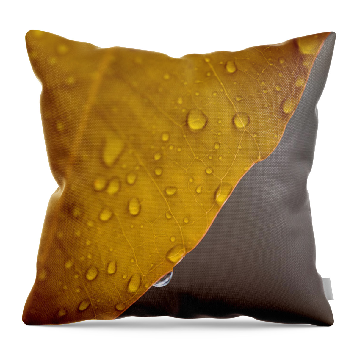 Leaf Throw Pillow featuring the photograph After the Rain by Stephen Anderson