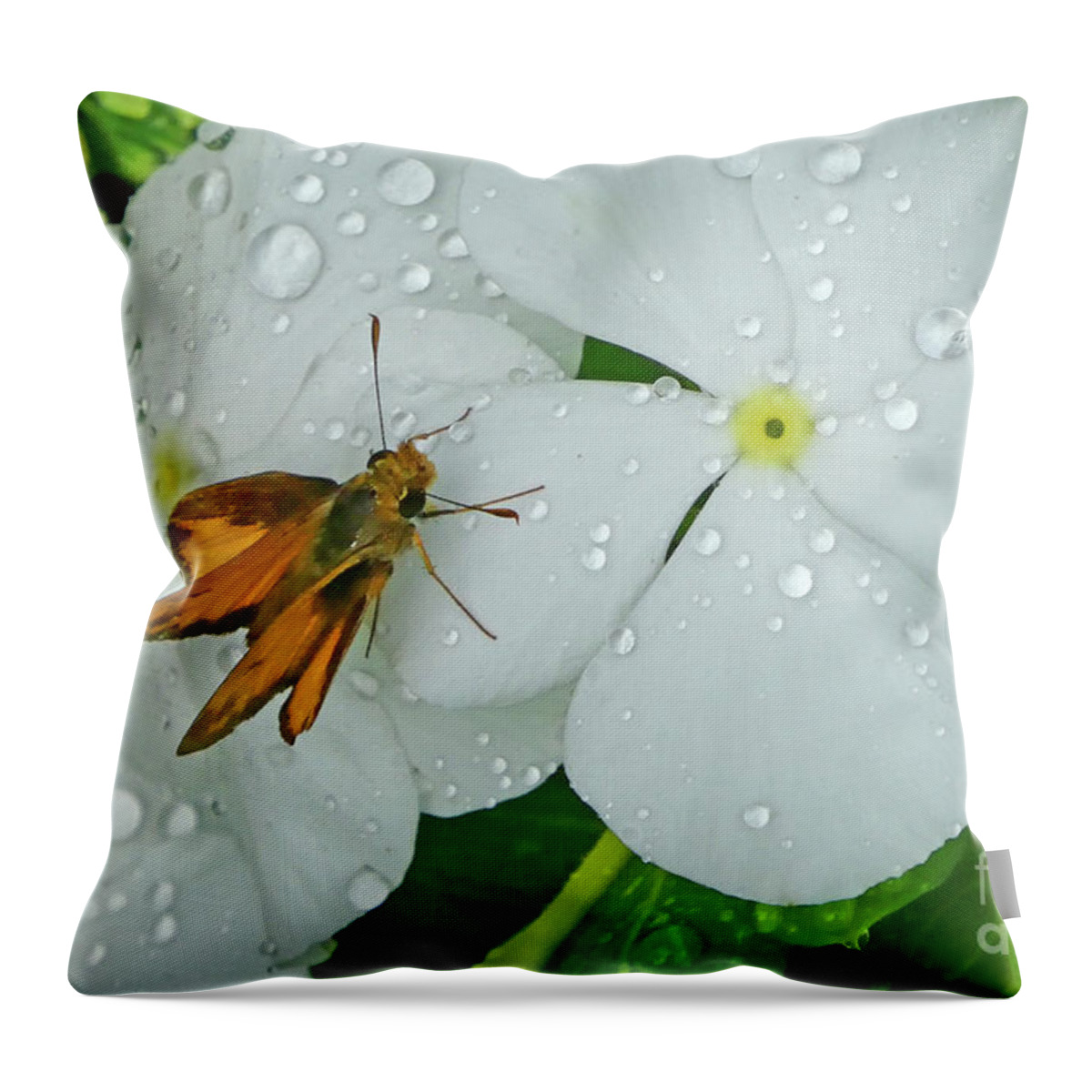 Insect Throw Pillow featuring the photograph After The Rain by Val Miller