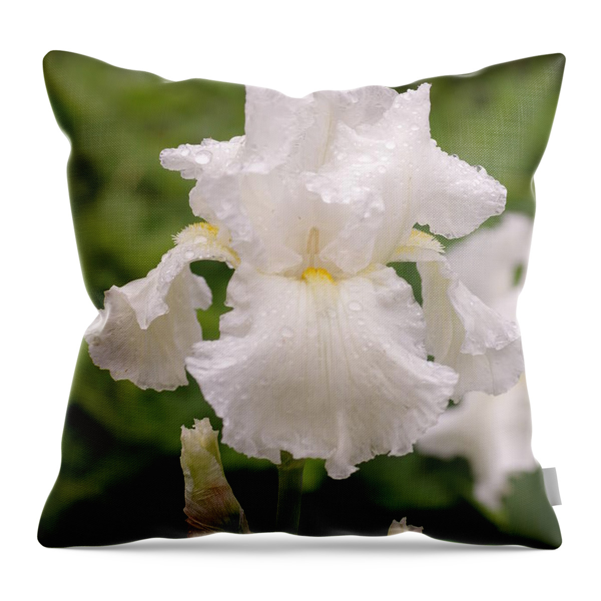 Rain Throw Pillow featuring the photograph After the Storm by Greg Graham
