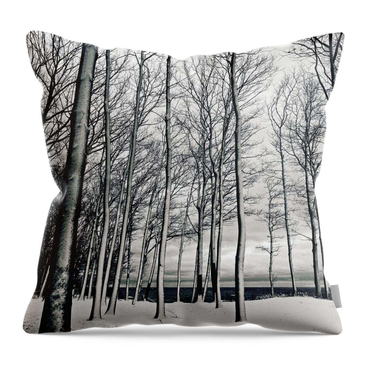 Season Throw Pillow featuring the photograph After the Storm by Michelle Calkins