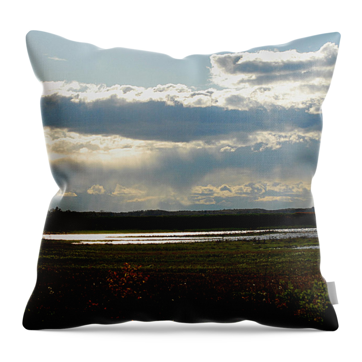 Storm Throw Pillow featuring the photograph After the storm by Nancy Landry