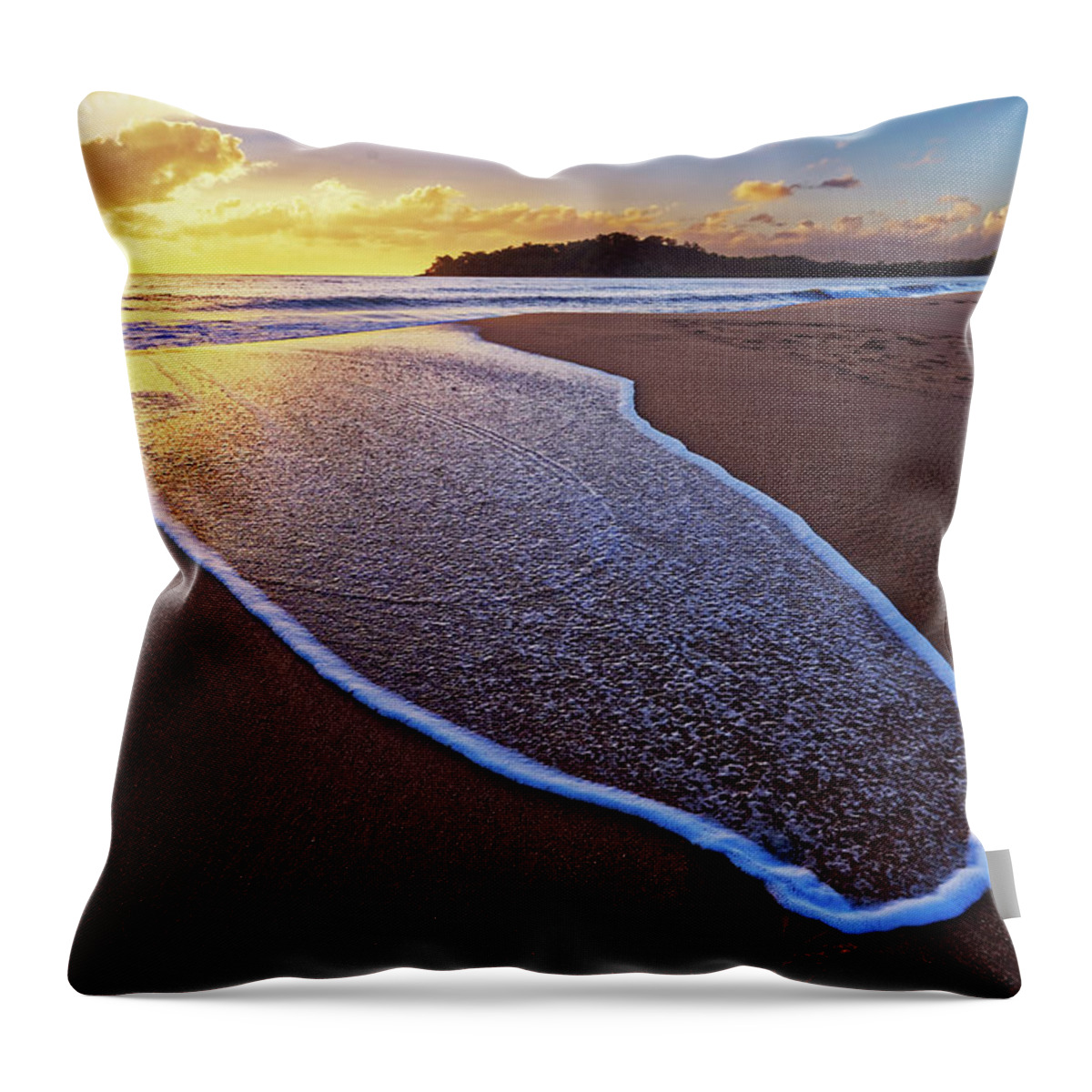 Beach Throw Pillow featuring the photograph After the Wave III by Robert Charity