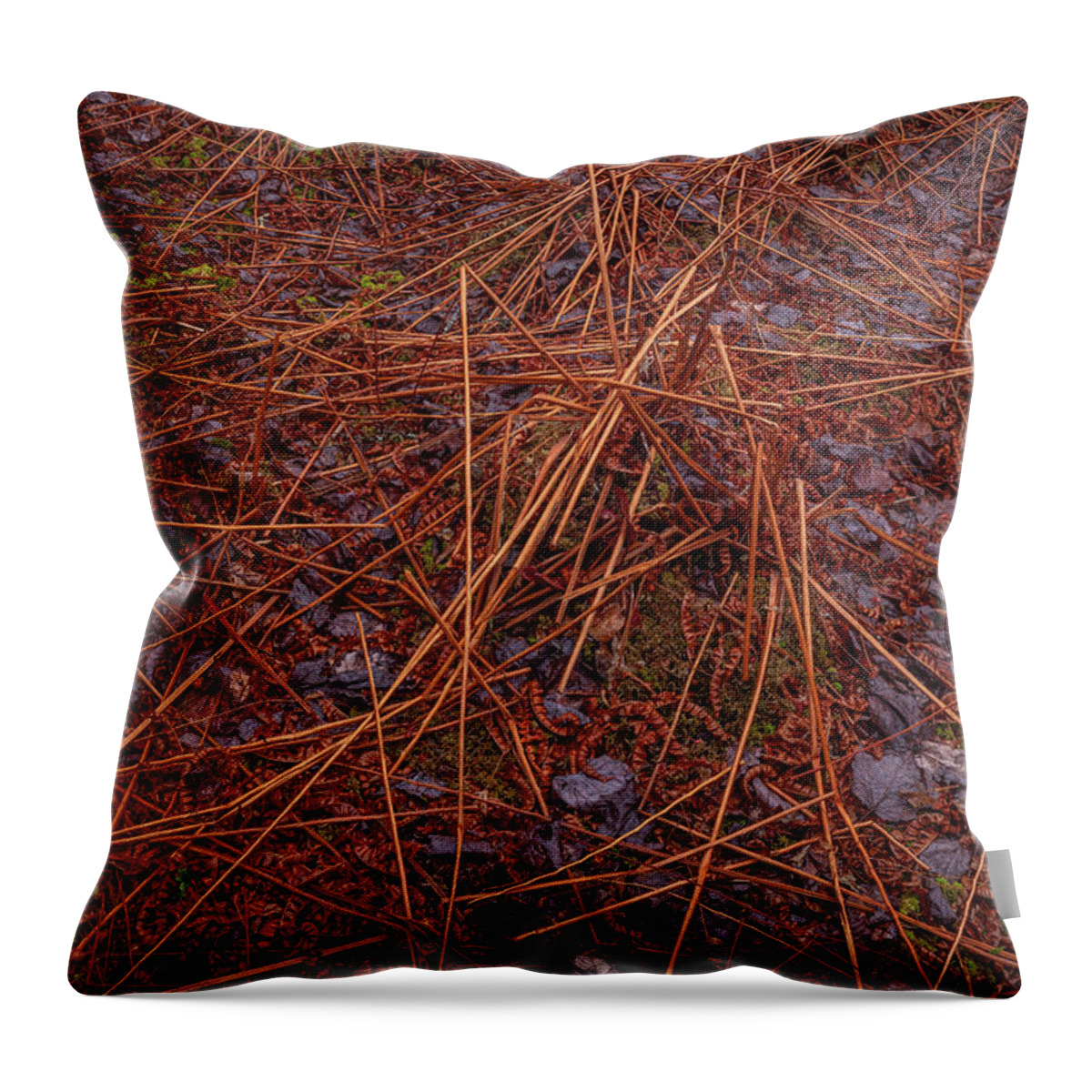 Blue Mountain-birch Cove Lakes Wilderness Area Throw Pillow featuring the photograph Aftermath by Irwin Barrett