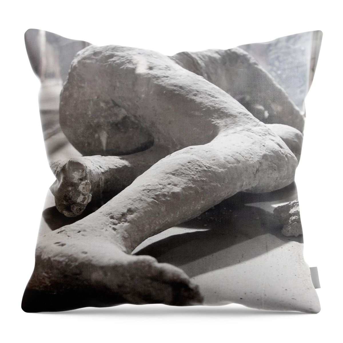 Pompeii Throw Pillow featuring the photograph Aftermath of Mount Vesuvius by Allan Levin