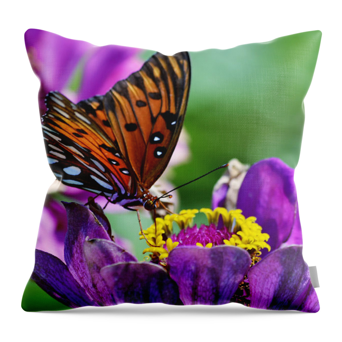Naples Botanical Garden Throw Pillow featuring the photograph Afternoon Delight by Melanie Moraga