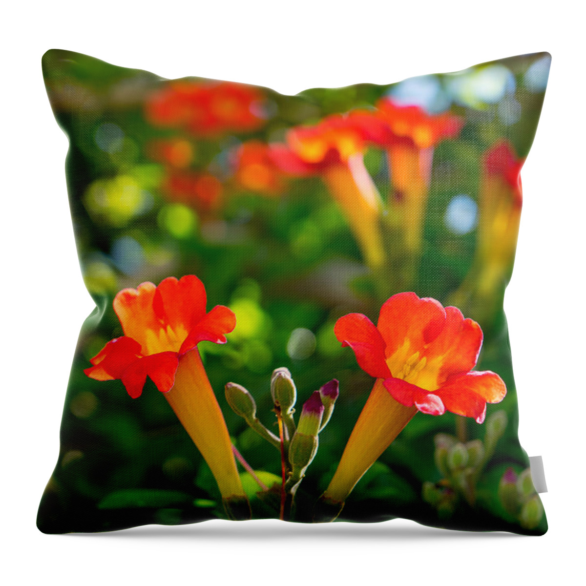 Flowers Throw Pillow featuring the photograph Afternoon Flowers by Derek Dean