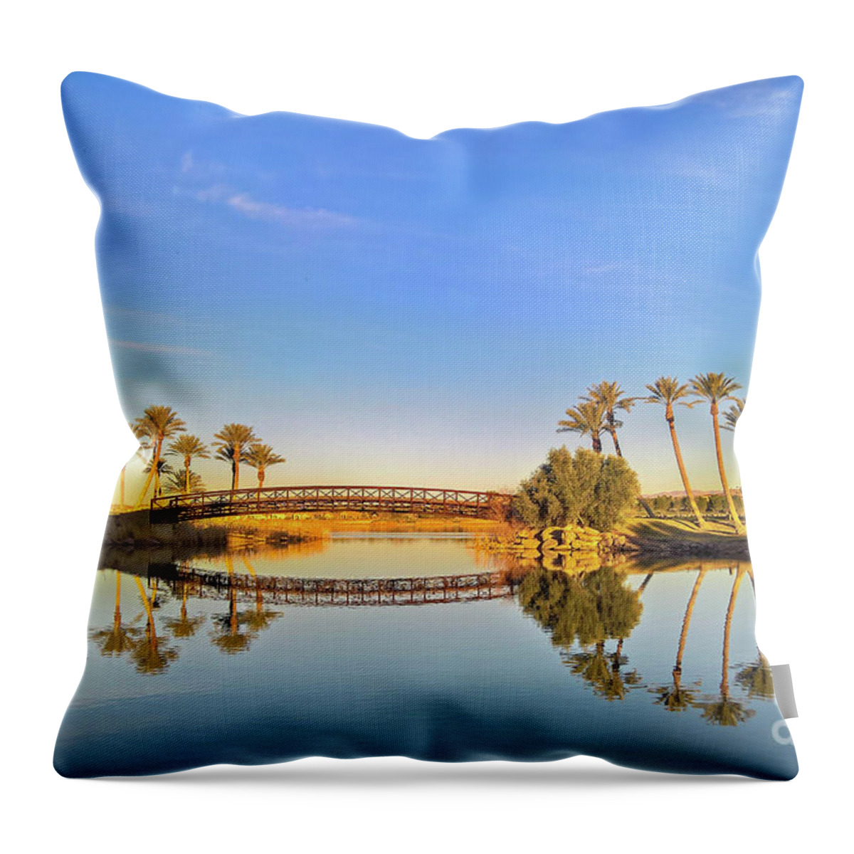 Reflection Throw Pillow featuring the photograph Afternoon reflection by Agnes Caruso