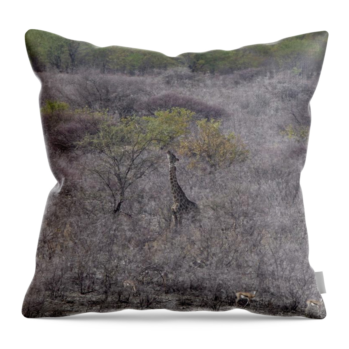 Giraffe Throw Pillow featuring the photograph Afternoon Treat by Ernest Echols
