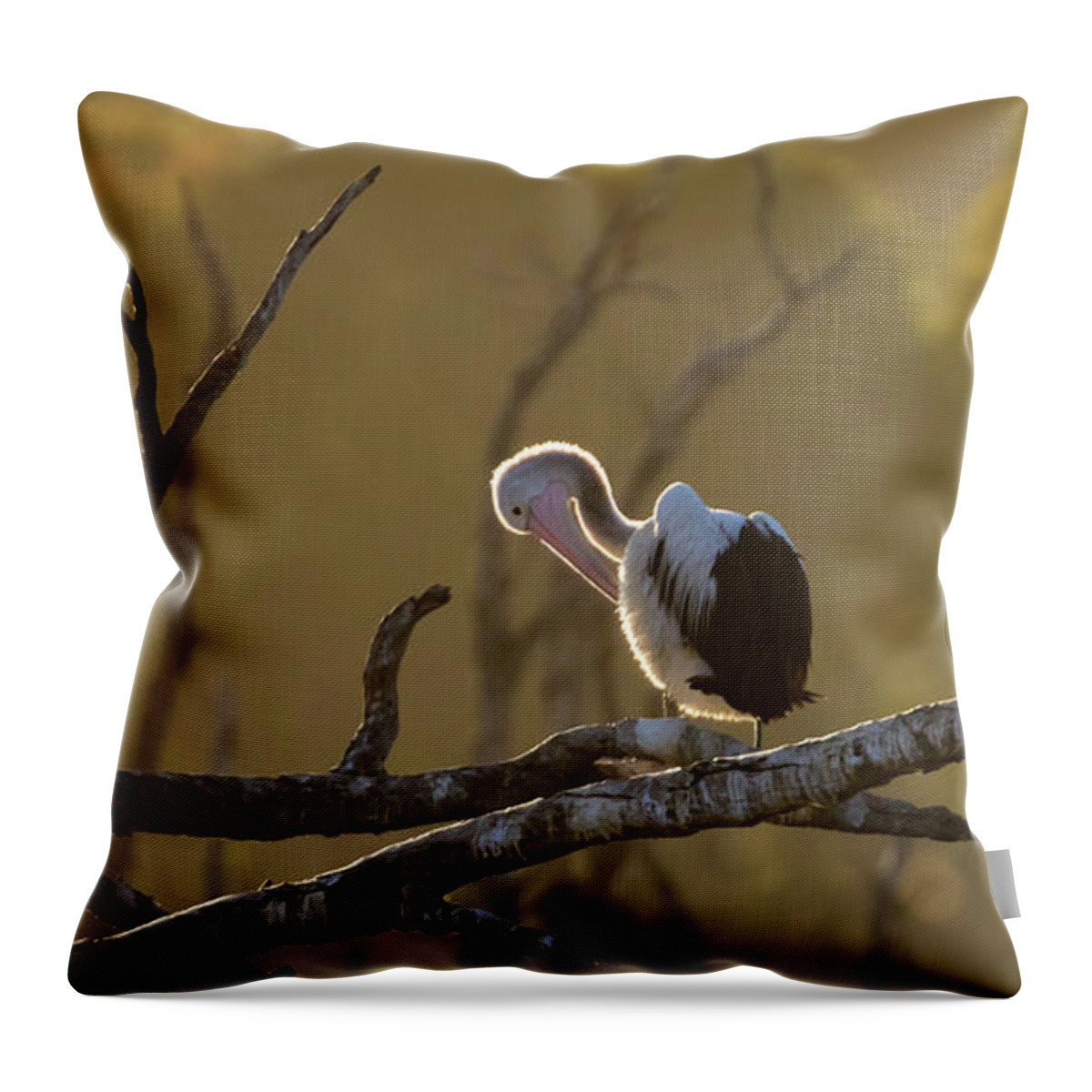 Pelican Throw Pillow featuring the photograph Against the Light by Diana Andersen