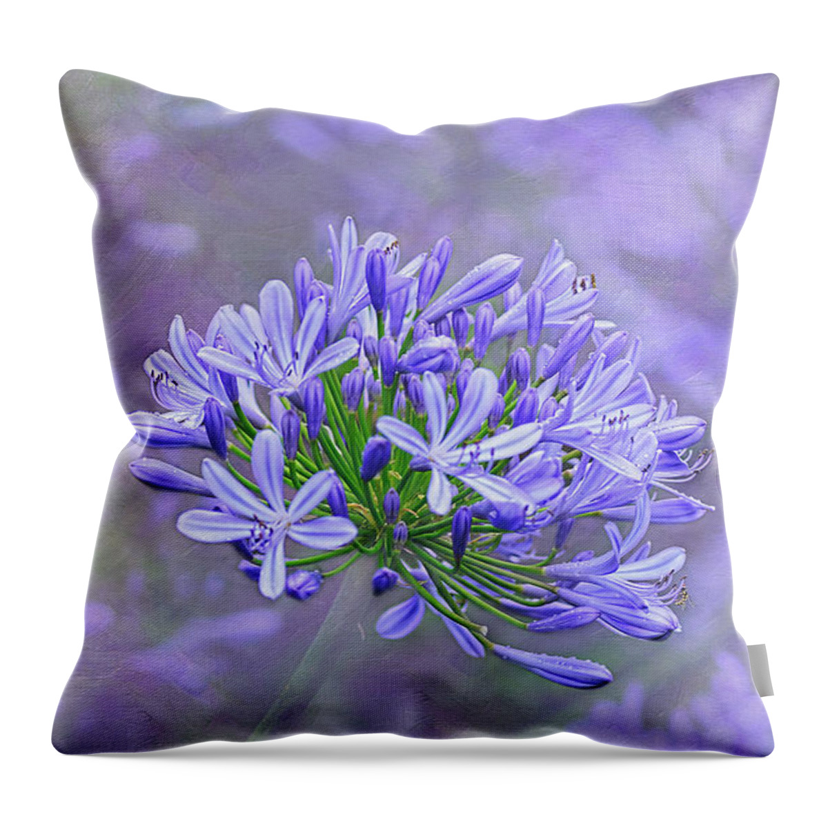 Photography Throw Pillow featuring the photograph Agapantha Lilac Pastel by Kaye Menner by Kaye Menner