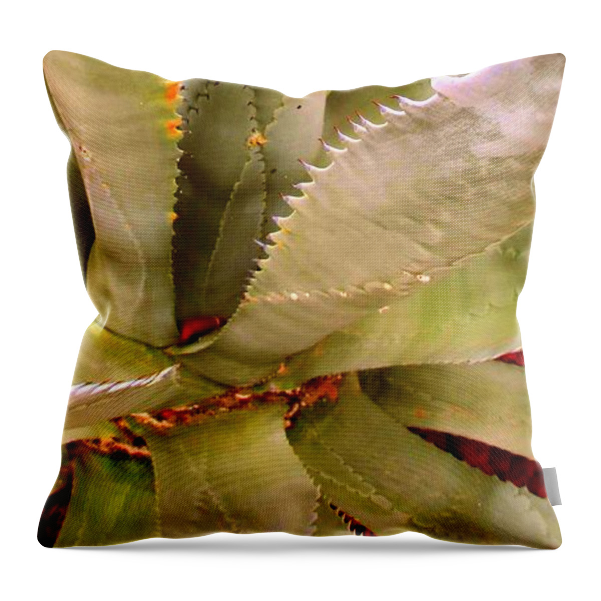  Throw Pillow featuring the photograph Agave by Donna Spadola