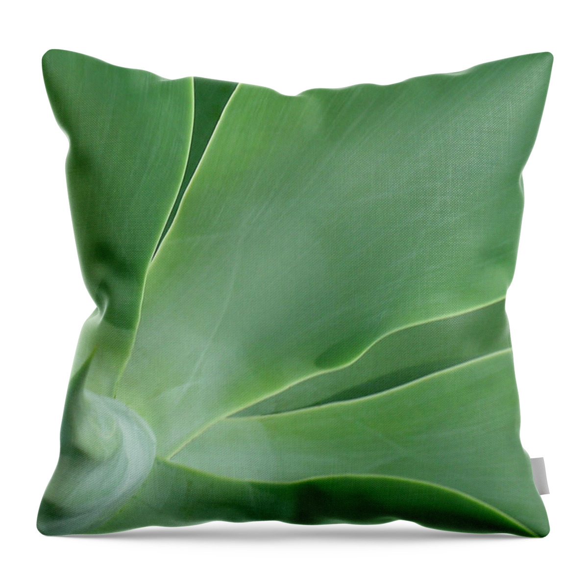 Agave Throw Pillow featuring the photograph Agave by James Temple