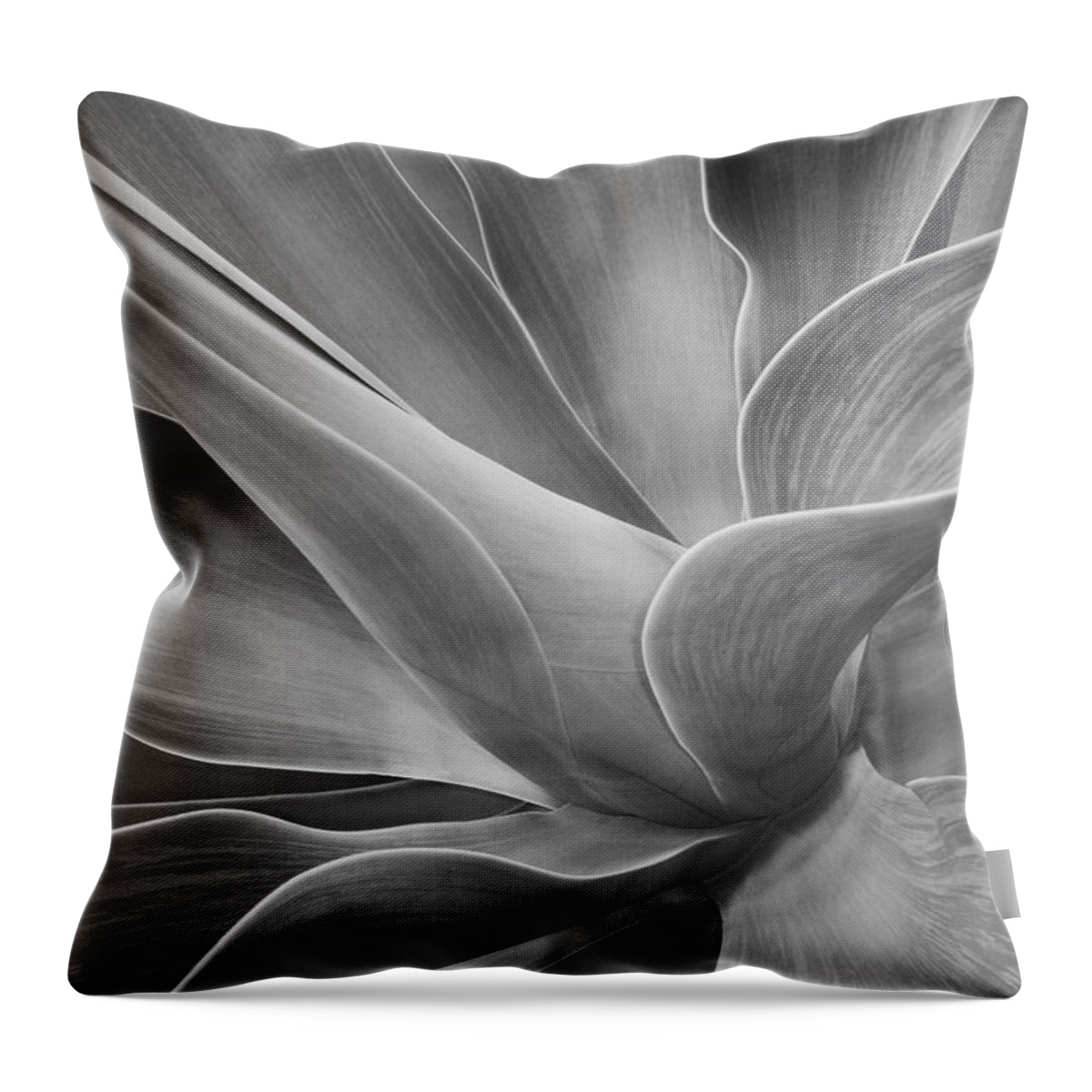 Agave Throw Pillow featuring the photograph Agave Shadows and Light by Bel Menpes