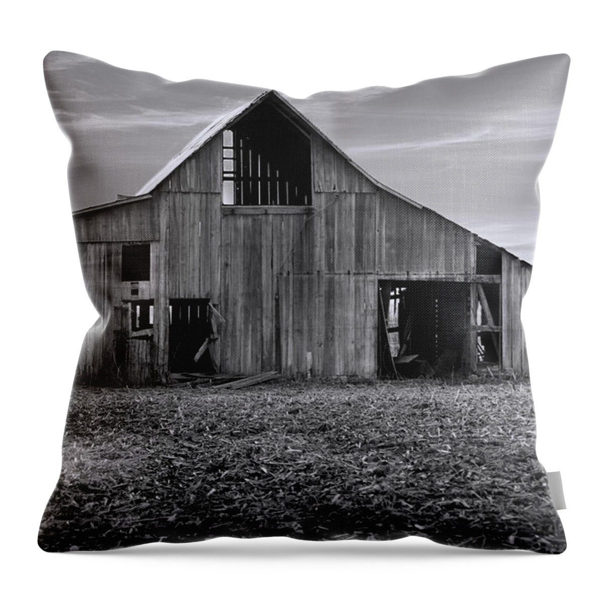 Photography Throw Pillow featuring the photograph Aged and Forgotten Barn by Theresa Campbell