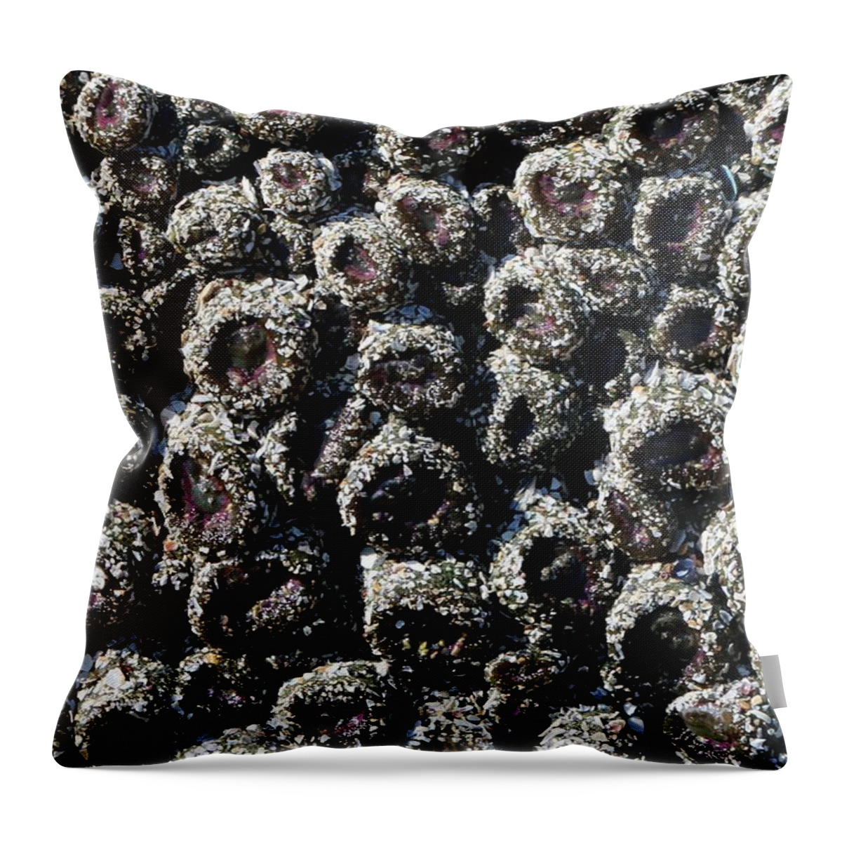 Aggregating Anemones Throw Pillow featuring the photograph Aggregating Anemones by Christy Pooschke
