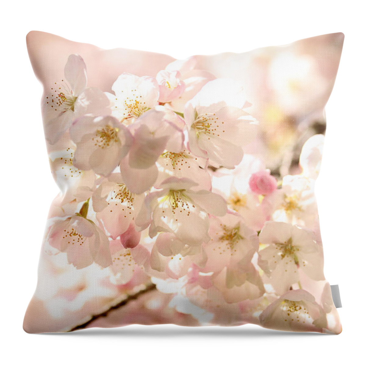Connie Handscomb Throw Pillow featuring the photograph Aglow by Connie Handscomb
