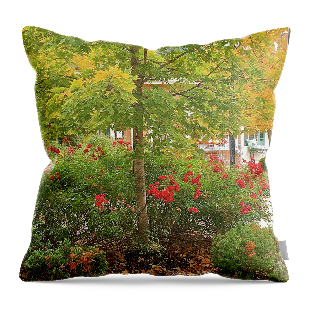 Autumn Throw Pillow featuring the photograph Ah Autumn by Barbara Plattenburg