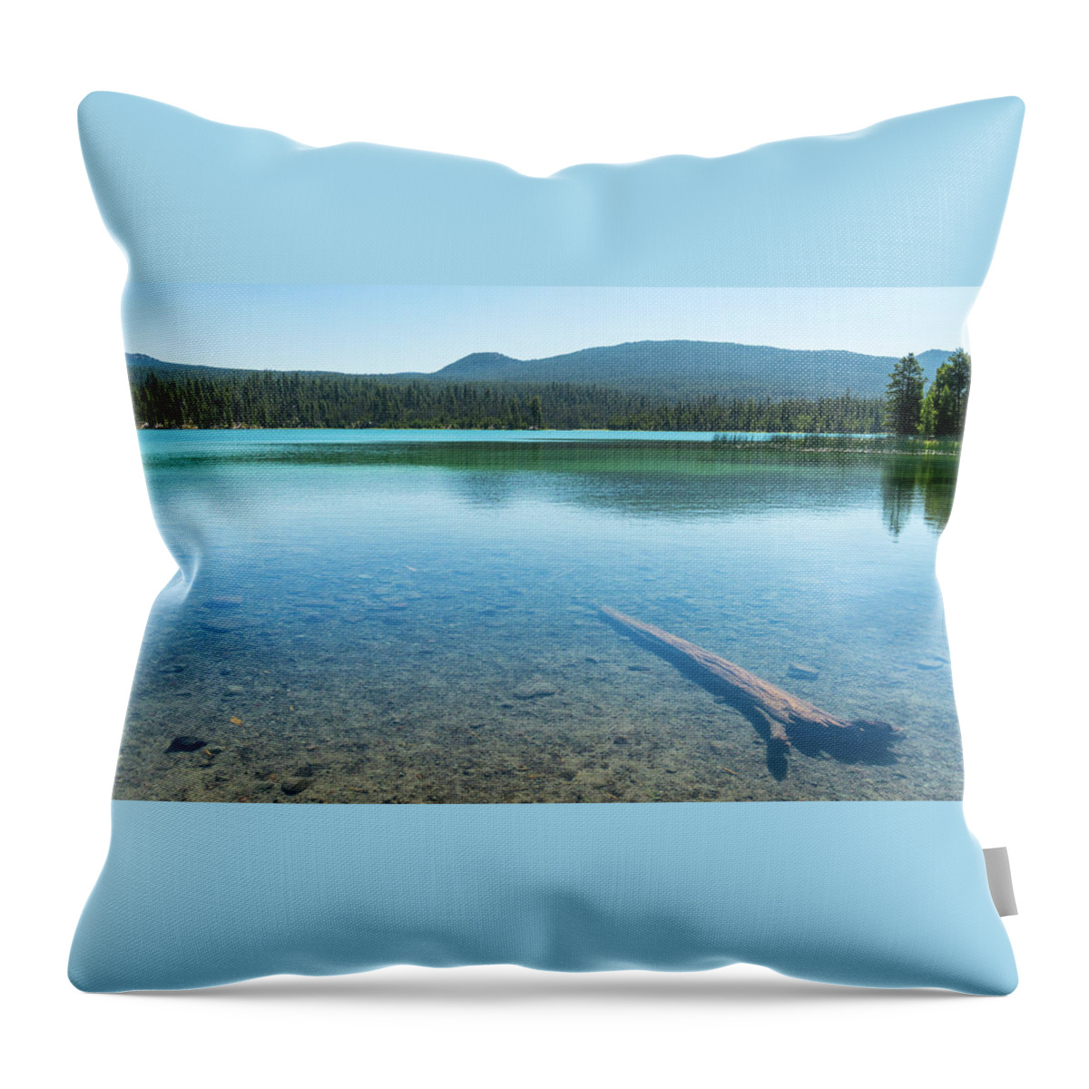 Oregon Throw Pillow featuring the photograph Air Water Log Lava Lake Oregon by Lawrence S Richardson Jr