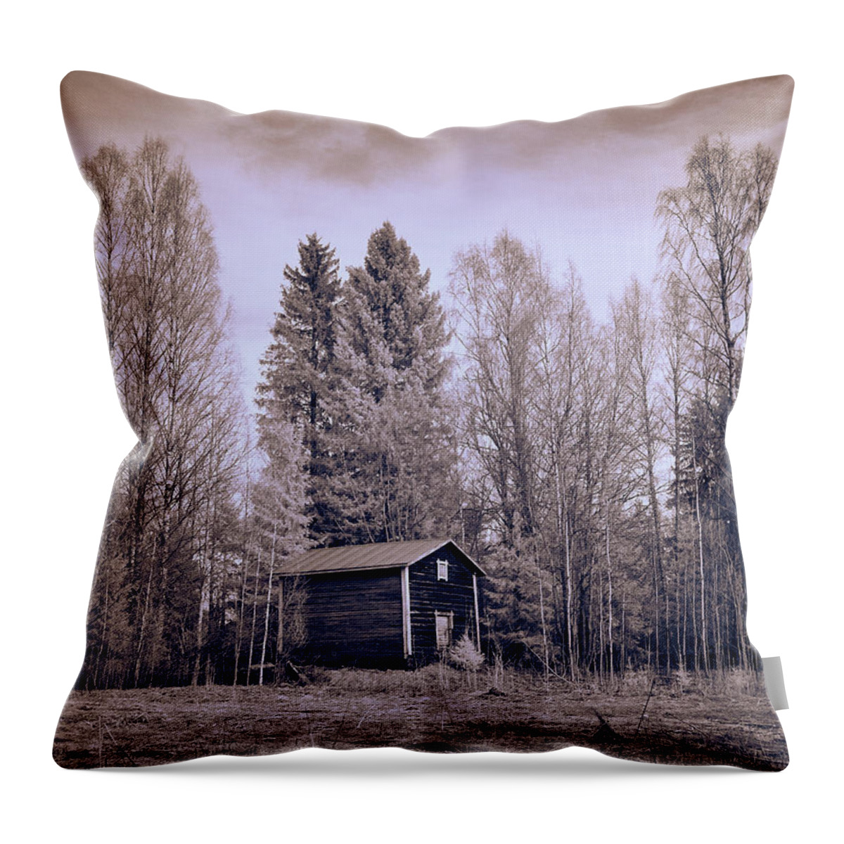 Finland Throw Pillow featuring the photograph Aitta by Jouko Lehto
