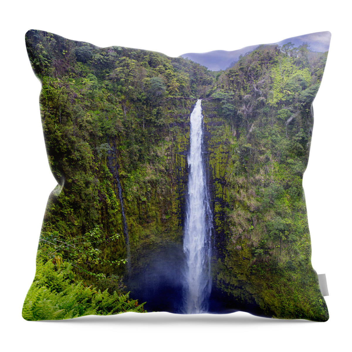 Akaka Falls Throw Pillow featuring the photograph Akaka Falls by Bill and Linda Tiepelman