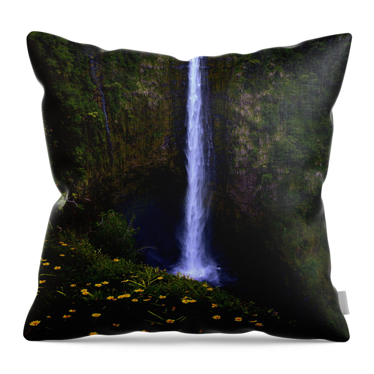  Throw Pillow featuring the photograph Akaka Falls by Micah Roemmling