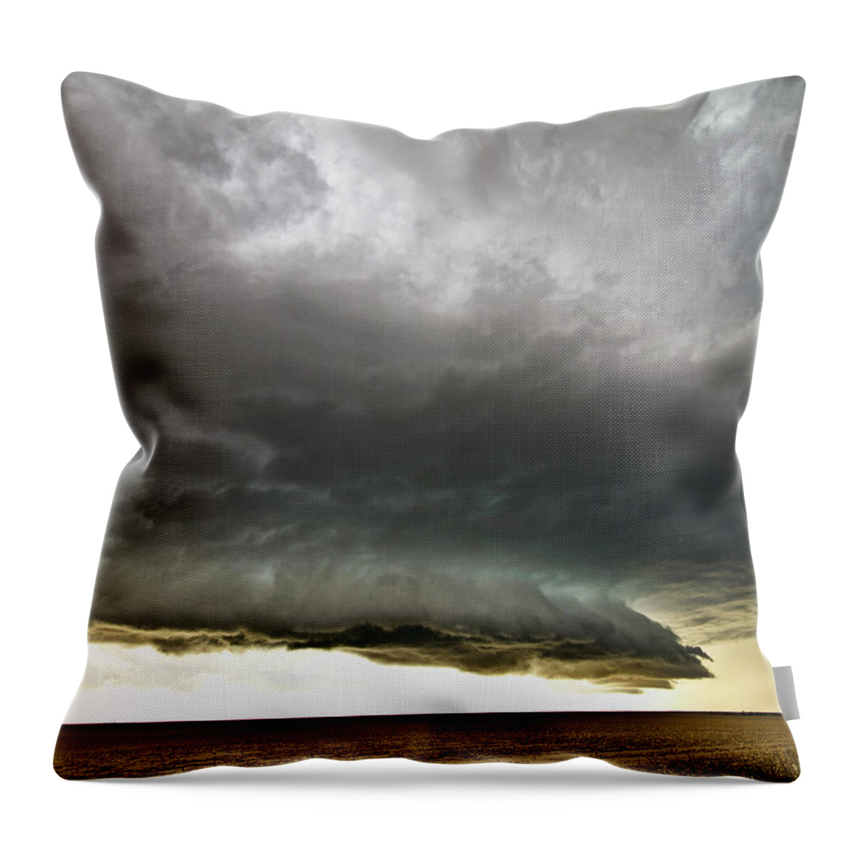 Colorado Throw Pillow featuring the photograph Akron CO Beast by Ryan Crouse