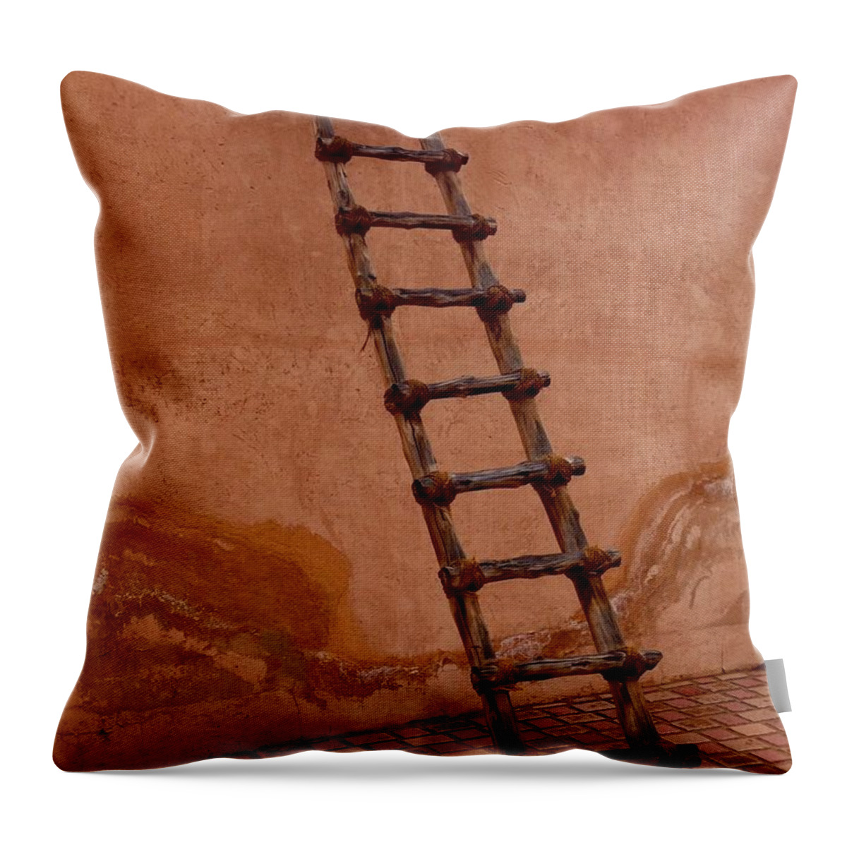 Ladder Throw Pillow featuring the photograph Al Ain Ladder by Barbara Von Pagel