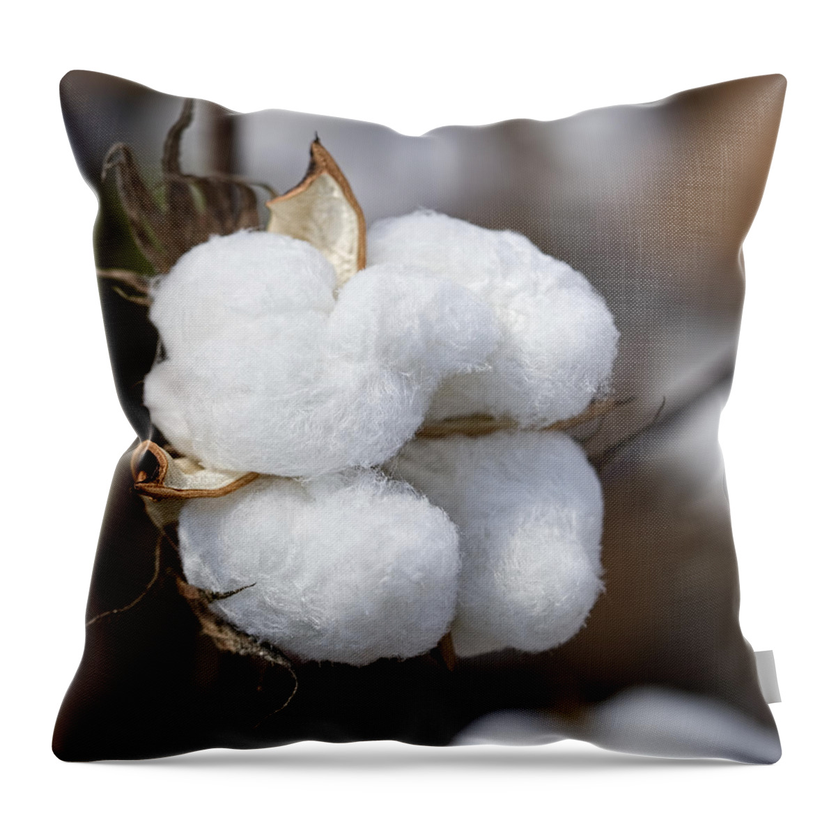 Cotton Throw Pillow featuring the photograph Alabama Cotton Boll by Kathy Clark