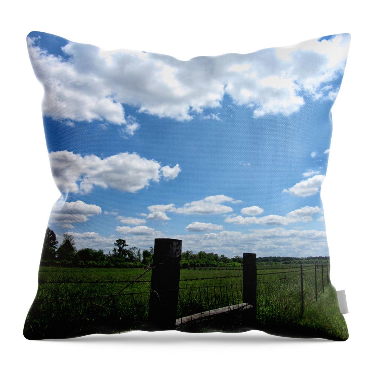Alabama Throw Pillow featuring the photograph Alabama Down Home by Kathy Clark