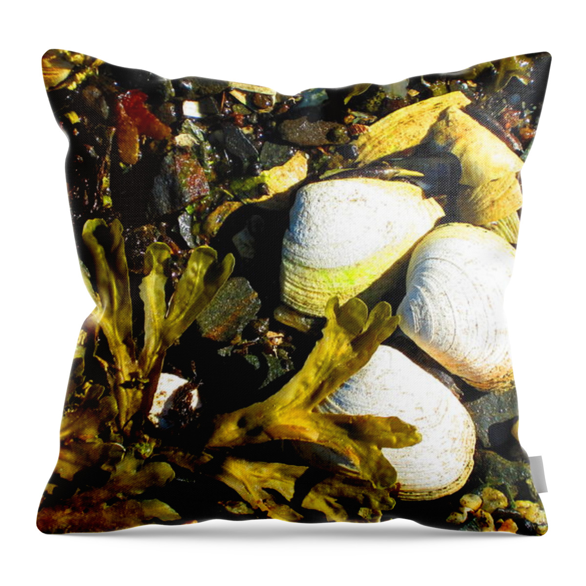 Ketchikan Throw Pillow featuring the photograph Alaska clams by Laurianna Taylor