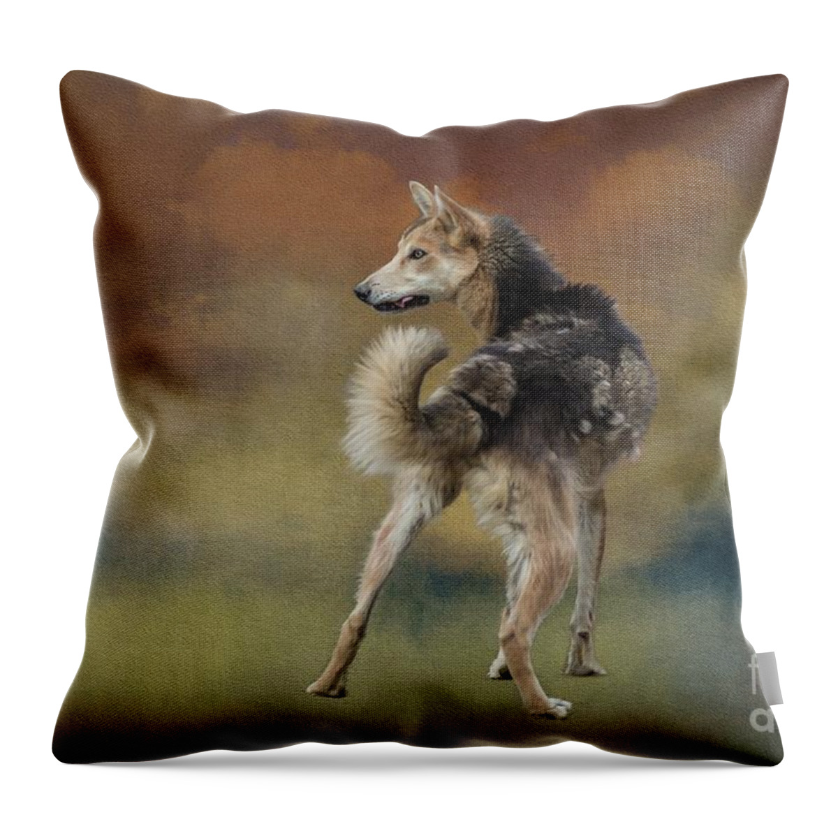 Alaskan Husky Throw Pillow featuring the photograph Alaskan Husky by Eva Lechner