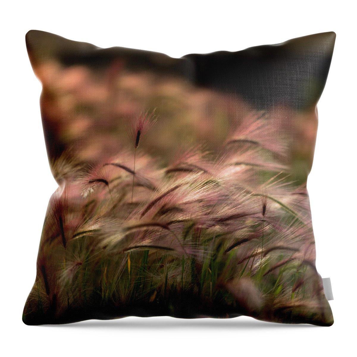 Abstract Throw Pillow featuring the photograph Alaskan Summer Foxtail by Scott Slone