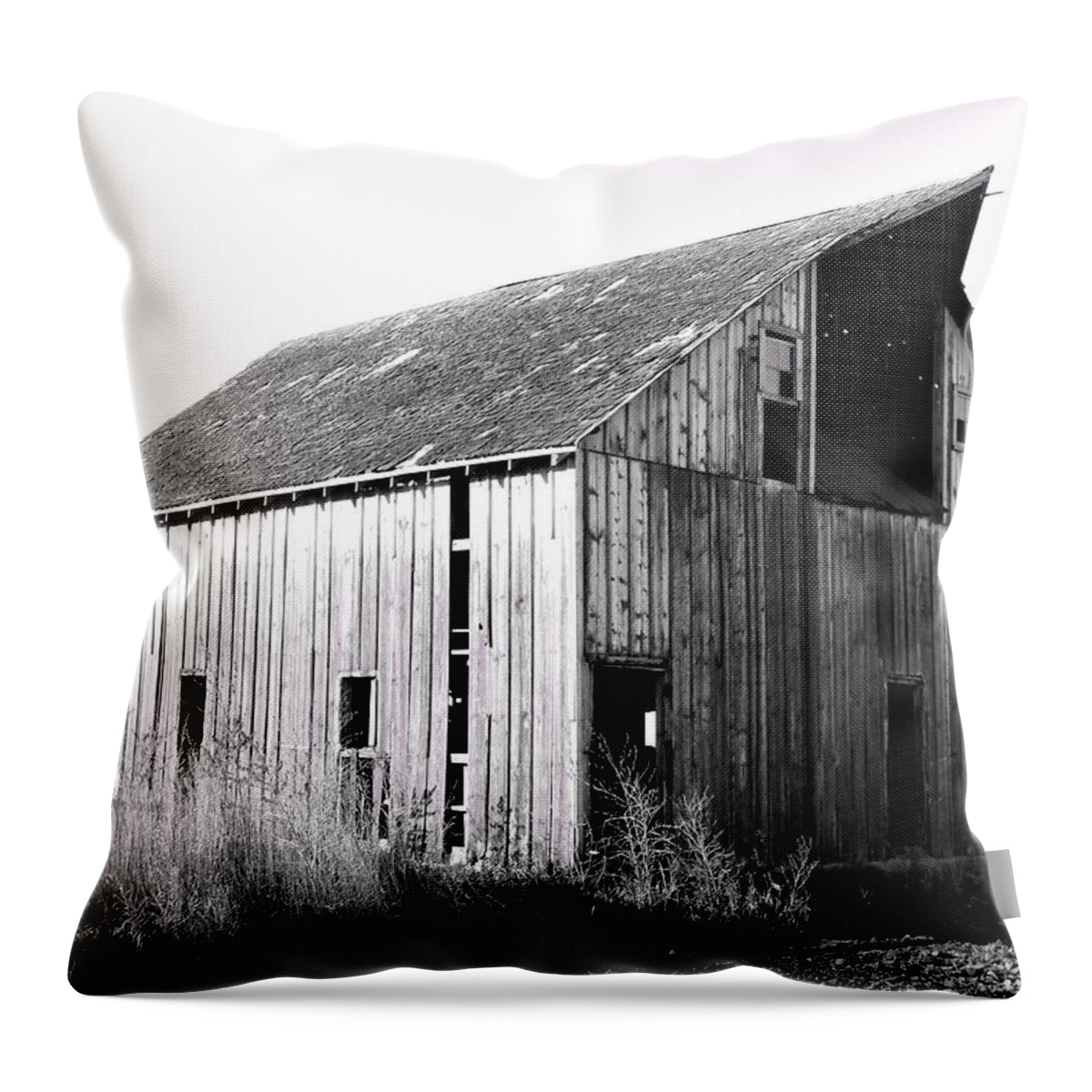 Barn Throw Pillow featuring the photograph Albert City Barn 3 by Julie Hamilton