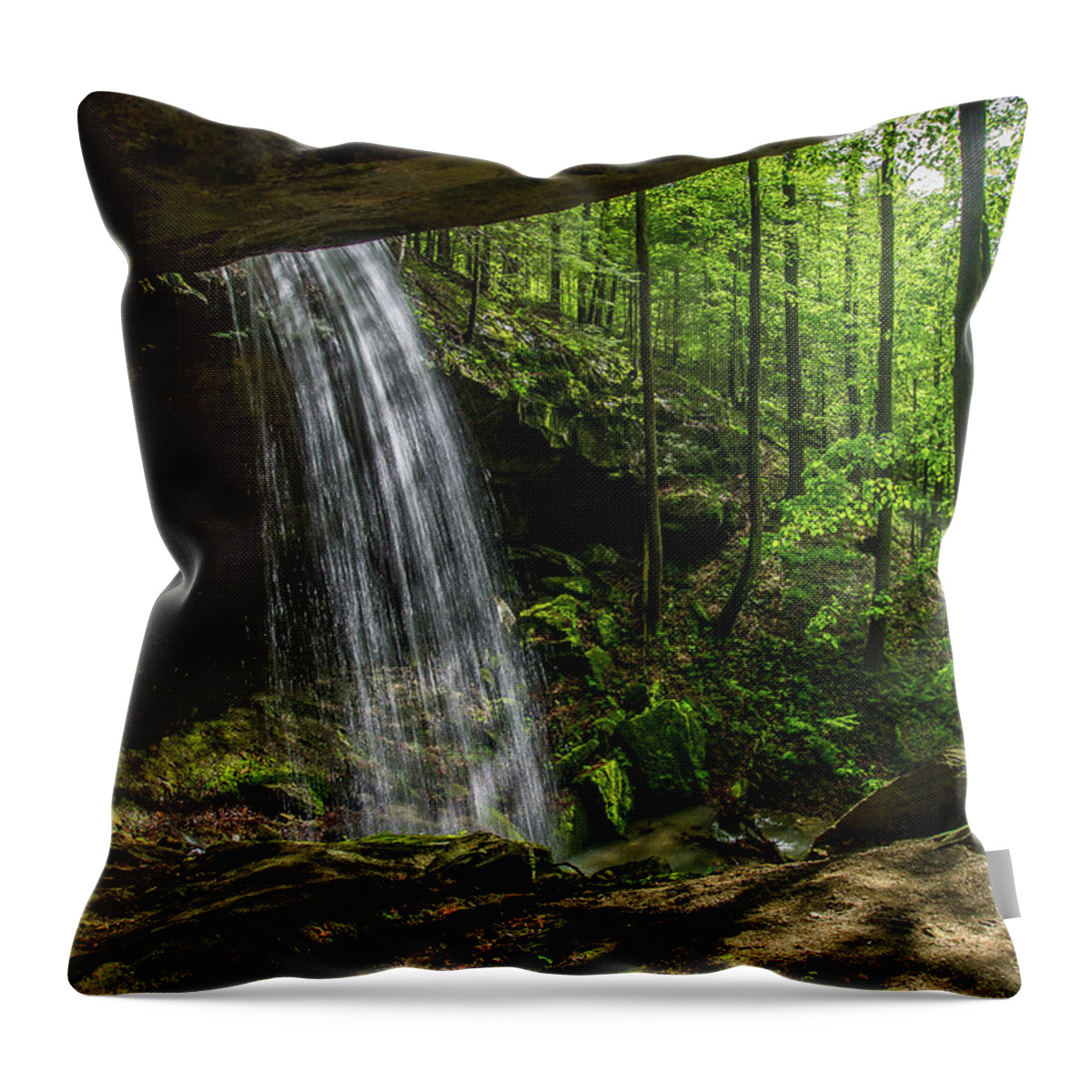 Alcorn Falls Throw Pillow featuring the photograph Alcorn Falls by Ulrich Burkhalter