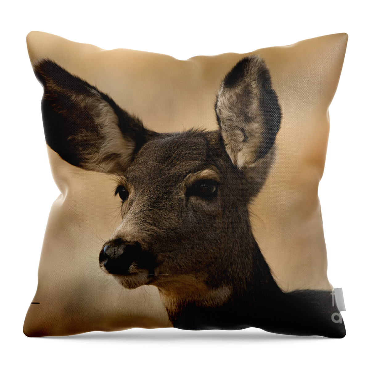 Doe Mule Deer Throw Pillow featuring the photograph Alert by Bon and Jim Fillpot
