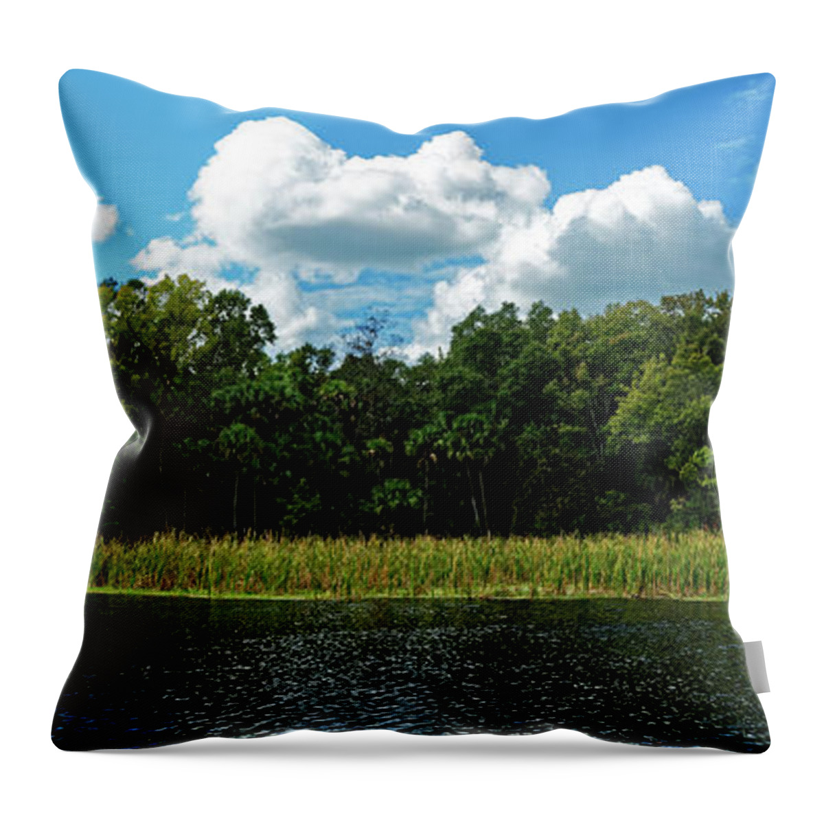 Alexander Springs Throw Pillow featuring the photograph Alexander Creek by Paul Mashburn
