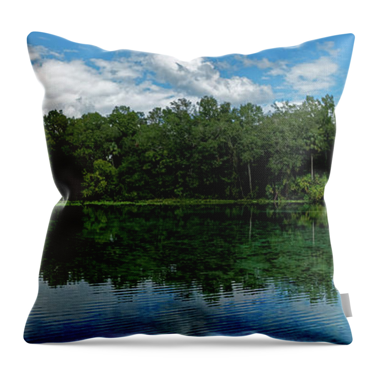 Alexander Springs Pool Throw Pillow featuring the photograph Alexander Springs Pool by Paul Mashburn