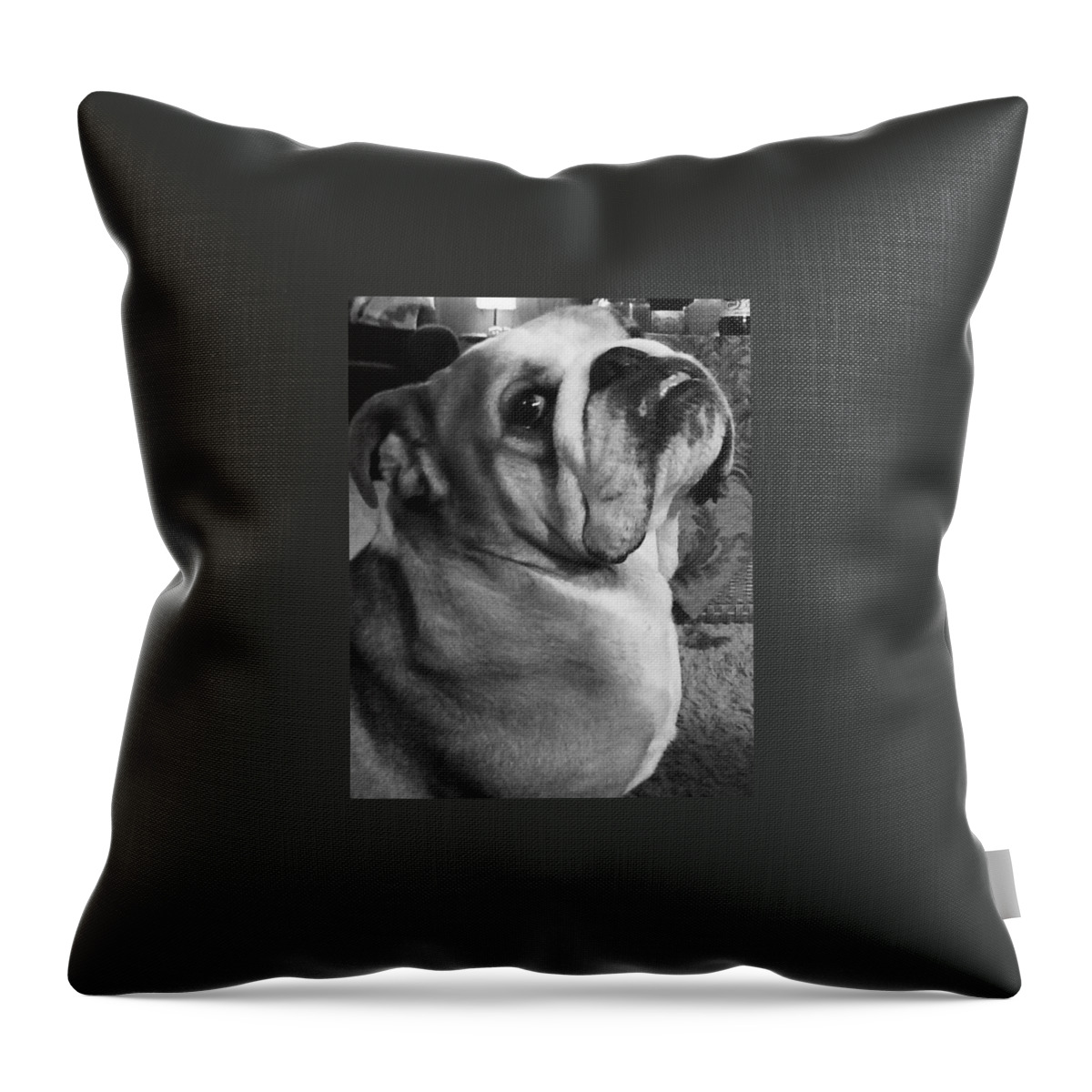 Alfred Hitchcock Bullie Pose Throw Pillow featuring the photograph Alfred Hitchcock Bullie Pose by Kym Backland