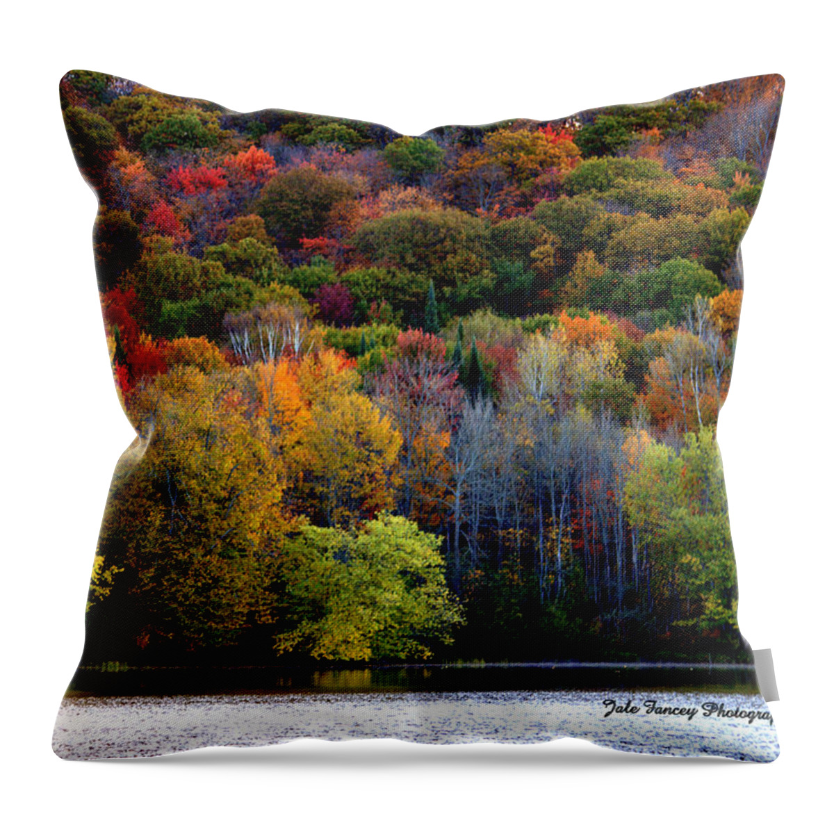Photography Throw Pillow featuring the photograph Algonquin memories by Jale Fancey