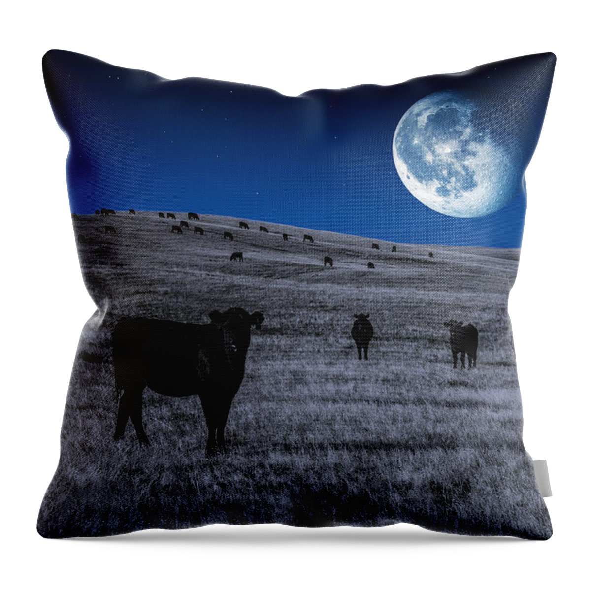 Cows Throw Pillow featuring the photograph Alien Cows by Todd Klassy